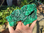 Natural Large Cabinet Silky Malachite Specimens x 2 From Kasompe, Congo - Toprock Gemstones and Minerals 