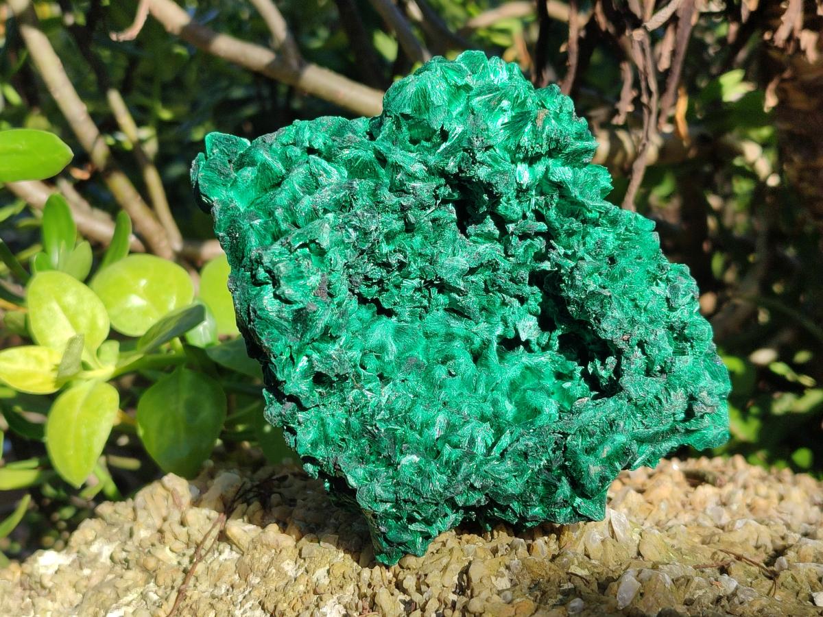 Natural Large Cabinet Silky Malachite Specimens x 2 From Kasompe, Congo - Toprock Gemstones and Minerals 