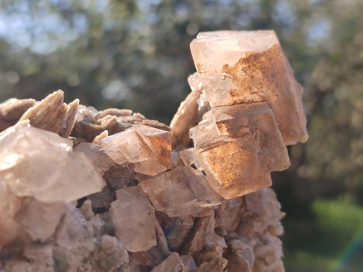 Natural Rhombohedral Calcite Specimens with Aragonite x 3 From Albert's Mountain, Lesotho - Toprock Gemstones and Minerals 