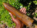 Polished Golden Tigers Eye Display Crystal x 1 From Prieska, South Africa - Toprock Gemstones and Minerals 