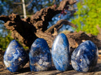 Polished Dumortierite Standing Display Pieces x 12 From Madagascar - Toprock Gemstones and Minerals 