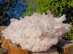 Natural XXL Quartz Crystal Cluster x 1 From Ivato, Madagascar