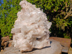 Natural XXL Quartz Crystal Cluster x 1 From Ivato, Madagascar