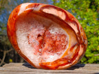 Polished Large Carnelian Agate Gemstone Bowl x 1 From Madagascar