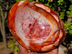 Polished Large Carnelian Agate Gemstone Bowl x 1 From Madagascar