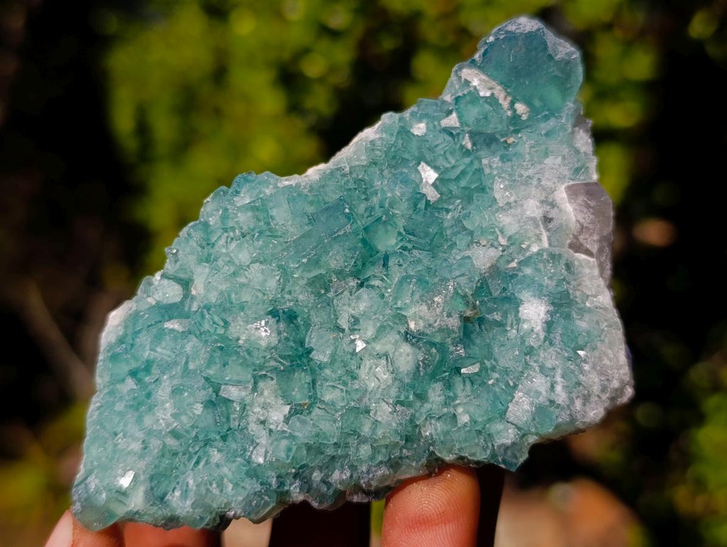 Natural Green Cubic Fluorite Specimens x 6 From Mandrosonoro, Madagascar - Toprock Gemstones and Minerals 