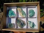Natural Green Cubic Fluorite Specimens x 6 From Mandrosonoro, Madagascar - Toprock Gemstones and Minerals 