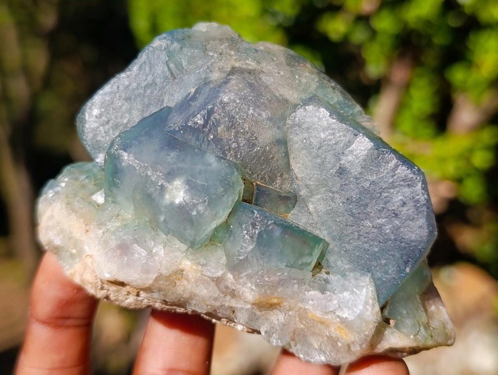 Natural Green Cubic Fluorite Specimens x 6 From Mandrosonoro, Madagascar - Toprock Gemstones and Minerals 
