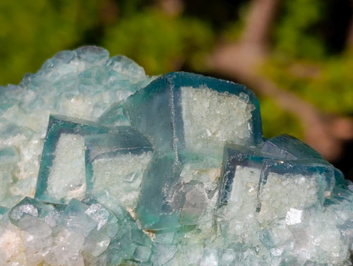 Natural Green Cubic Fluorite Specimens x 6 From Mandrosonoro, Madagascar - Toprock Gemstones and Minerals 