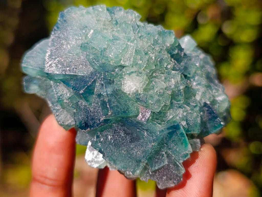 Natural Green Cubic Fluorite Specimens x 6 From Mandrosonoro, Madagascar - Toprock Gemstones and Minerals 
