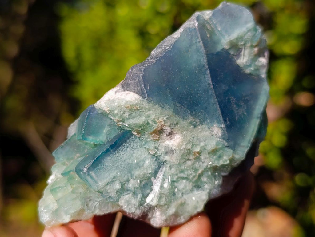 Natural Green Cubic Fluorite Specimens x 6 From Mandrosonoro, Madagascar - Toprock Gemstones and Minerals 