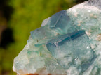 Natural Green Cubic Fluorite Specimens x 6 From Mandrosonoro, Madagascar - Toprock Gemstones and Minerals 