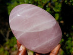Polished Gemmy Rose Quartz Standing Display Pieces x 3 From Madagascar - Toprock Gemstones and Minerals 