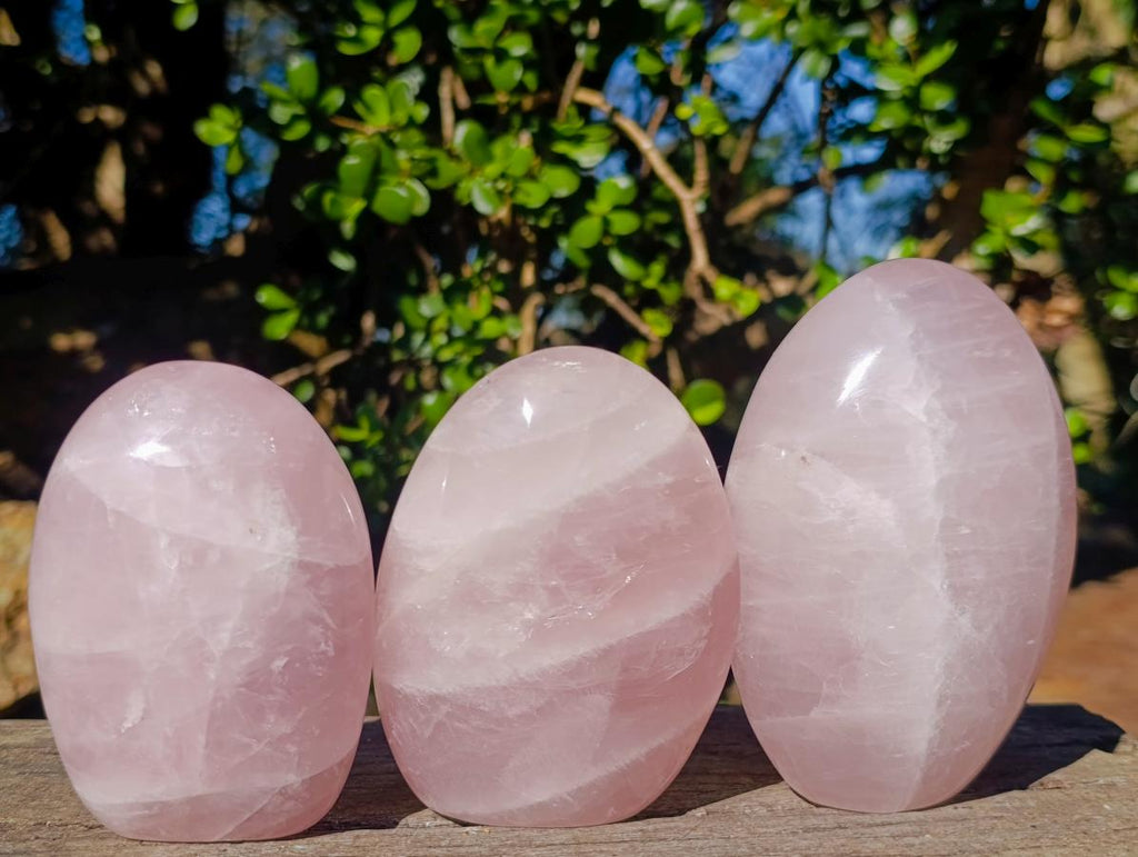 Polished Gemmy Rose Quartz Standing Display Pieces x 3 From Madagascar - Toprock Gemstones and Minerals 