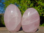 Polished Gemmy Rose Quartz Standing Display Pieces x 3 From Madagascar - Toprock Gemstones and Minerals 