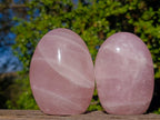 Polished Gemmy Rose Quartz Standing Display Pieces x 3 From Madagascar - Toprock Gemstones and Minerals 