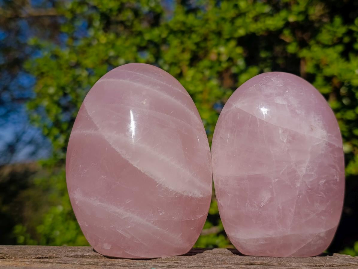Polished Gemmy Rose Quartz Standing Display Pieces x 3 From Madagascar - Toprock Gemstones and Minerals 