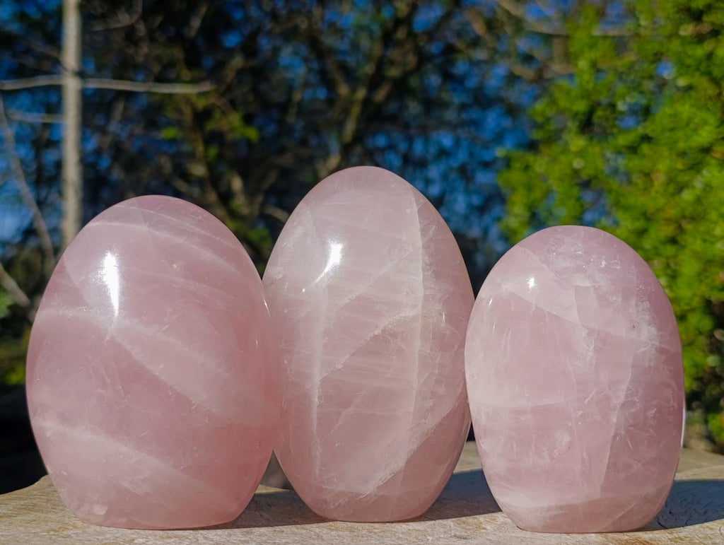 Polished Gemmy Rose Quartz Standing Display Pieces x 3 From Madagascar - Toprock Gemstones and Minerals 