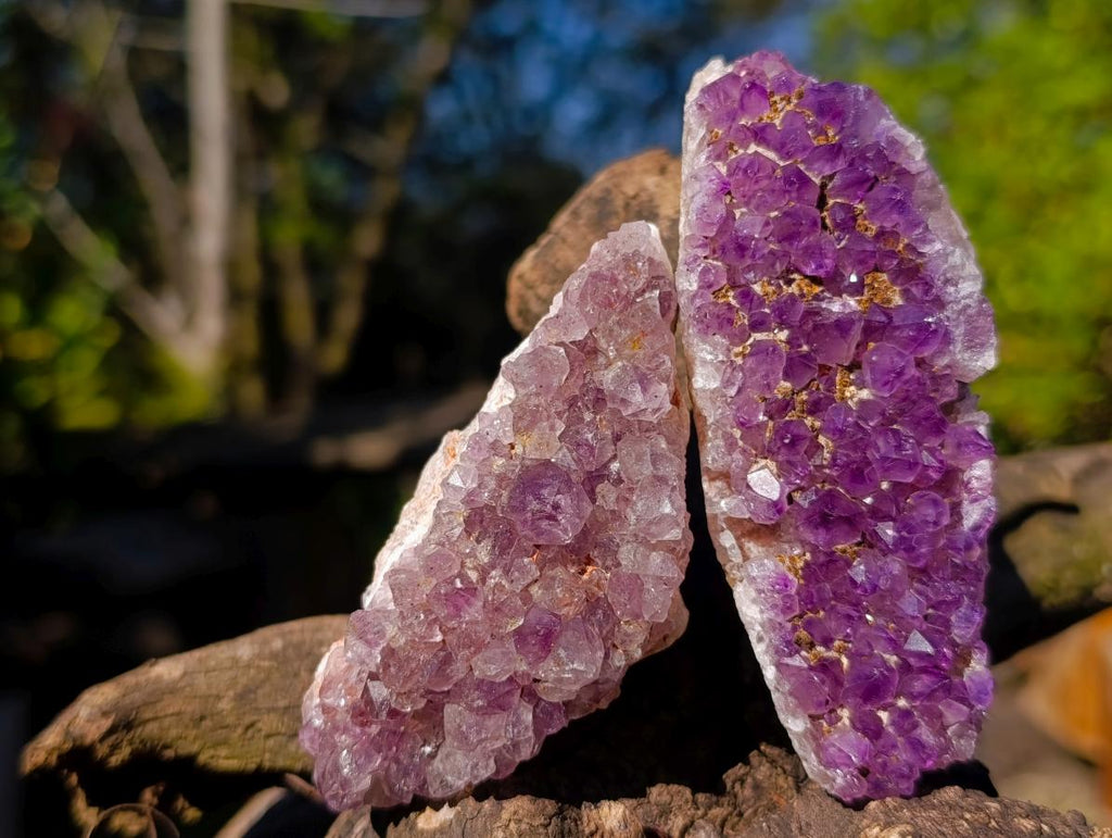 Natural Amethyst Clusters x 14 From Madagascar - Toprock Gemstones and Minerals 