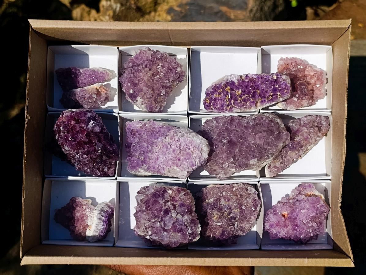 Natural Amethyst Clusters x 14 From Madagascar - Toprock Gemstones and Minerals 