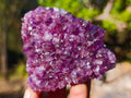 Natural Amethyst Clusters x 14 From Madagascar - Toprock Gemstones and Minerals 
