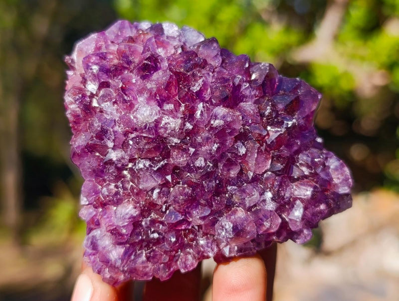 Natural Amethyst Clusters x 14 From Madagascar - Toprock Gemstones and Minerals 