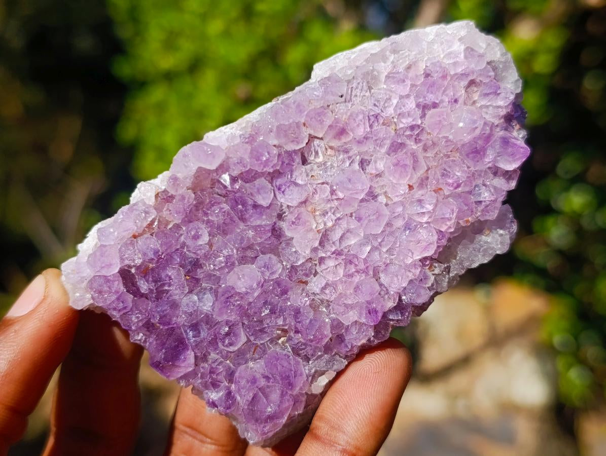 Natural Amethyst Clusters x 14 From Madagascar - Toprock Gemstones and Minerals 