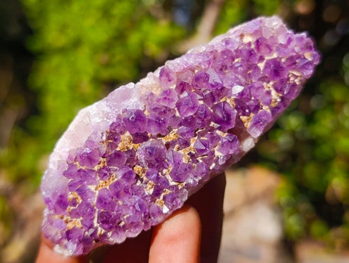Natural Amethyst Clusters x 14 From Madagascar - Toprock Gemstones and Minerals 