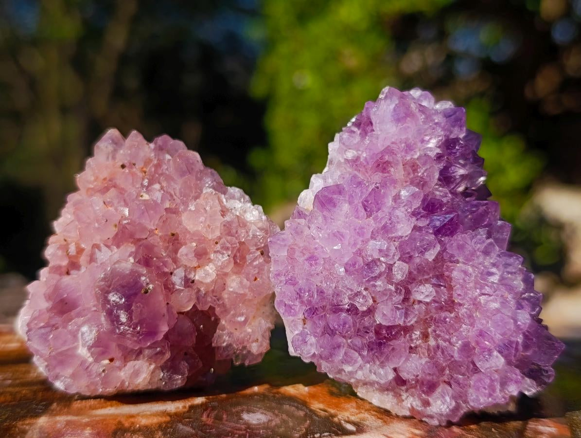 Natural Amethyst Clusters x 14 From Madagascar - Toprock Gemstones and Minerals 