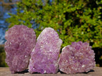 Natural Amethyst Clusters x 14 From Madagascar - Toprock Gemstones and Minerals 