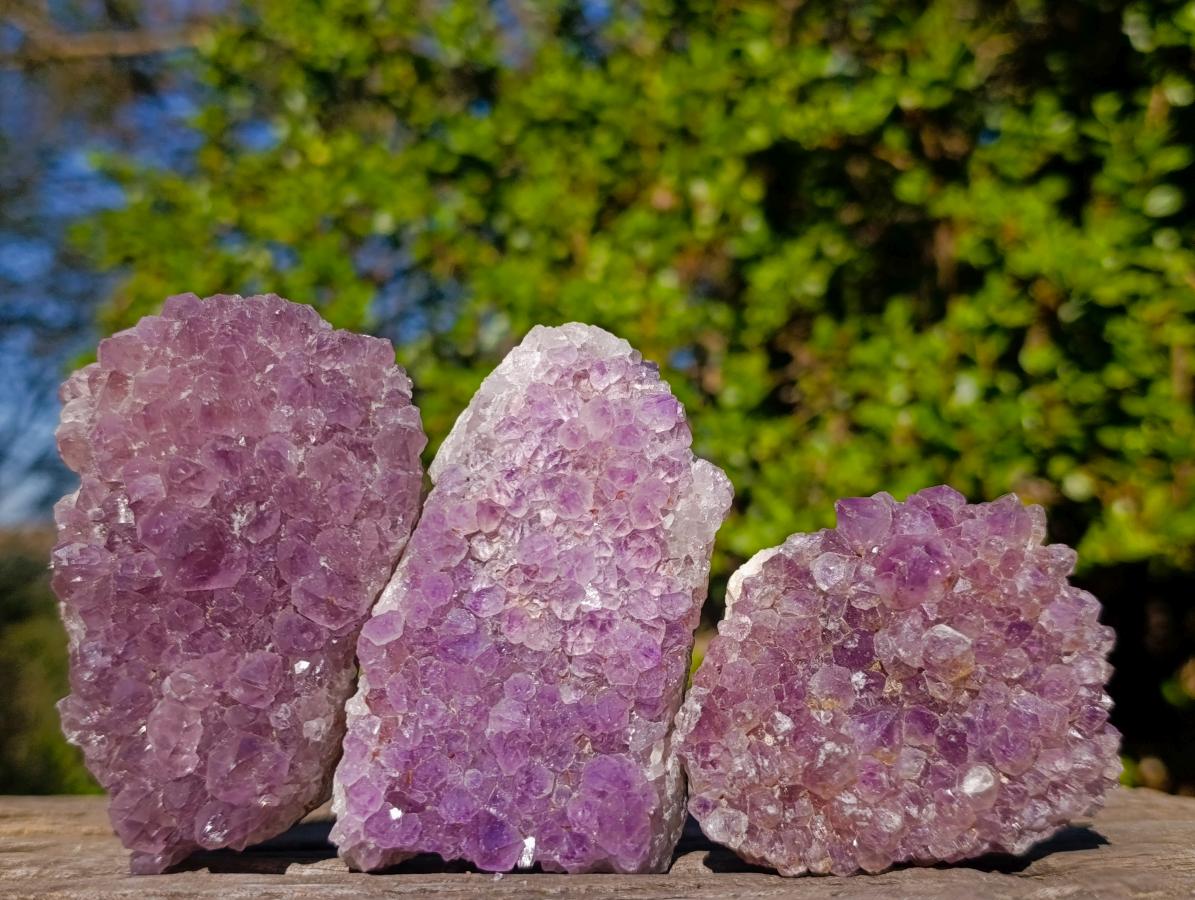 Natural Amethyst Clusters x 14 From Madagascar - Toprock Gemstones and Minerals 