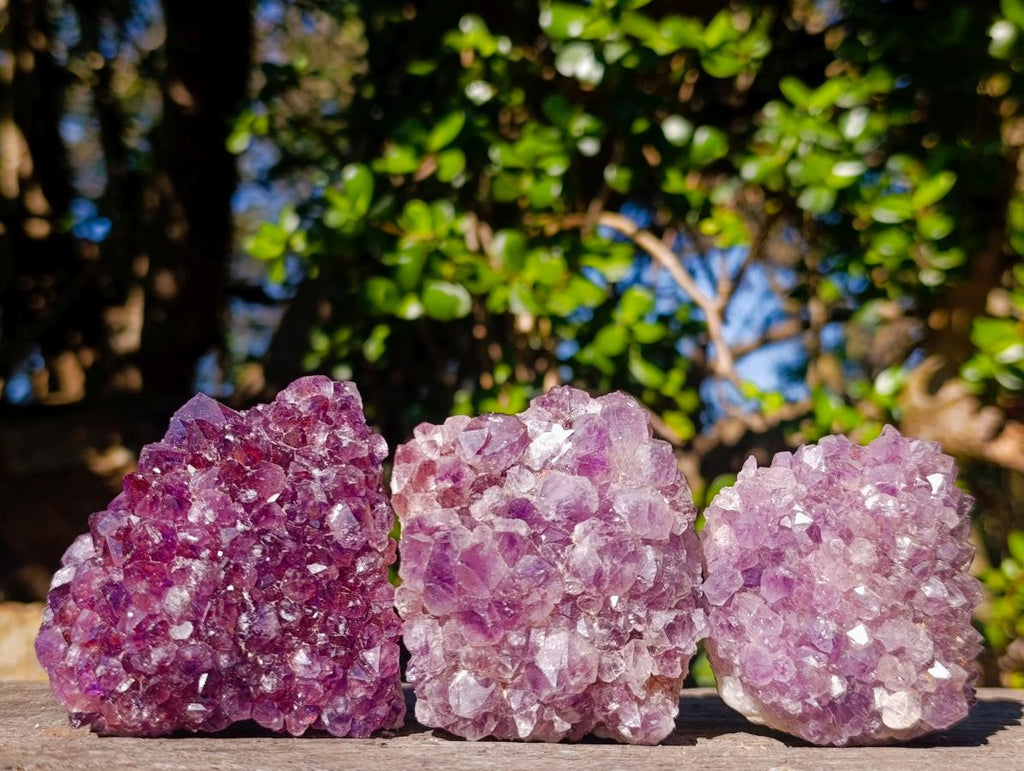 Natural Amethyst Clusters x 14 From Madagascar - Toprock Gemstones and Minerals 