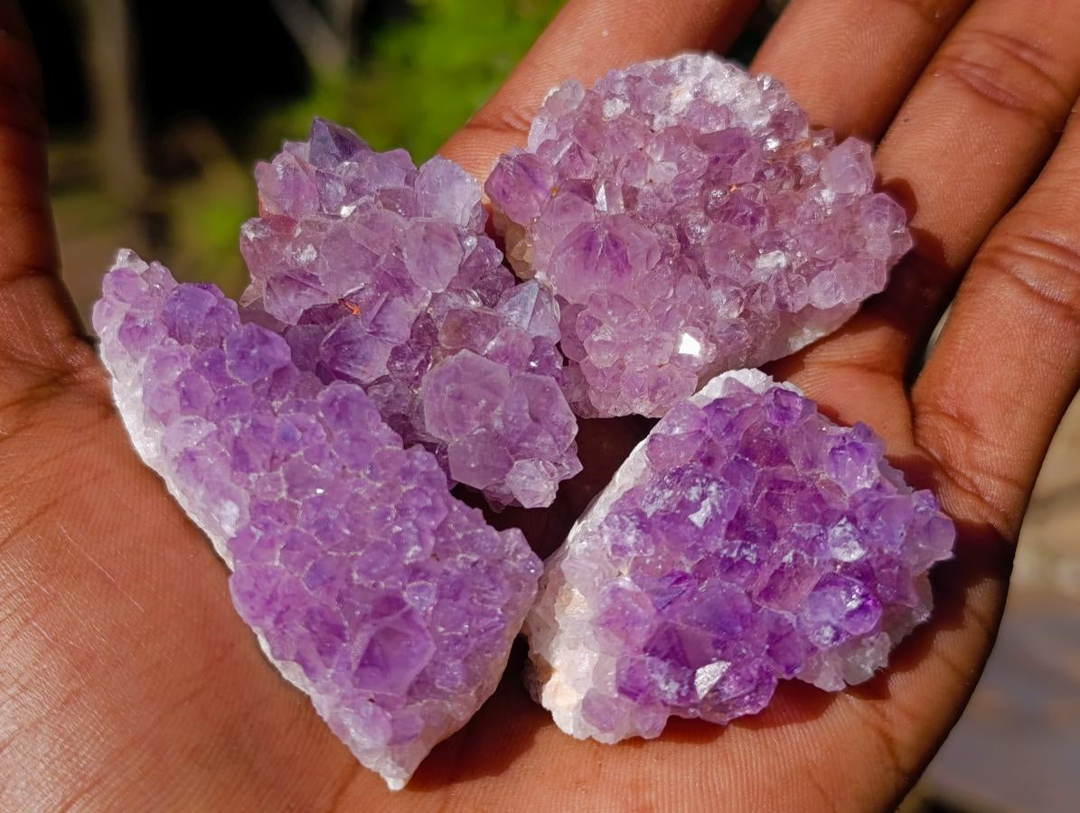 Natural Amethyst Clusters x 14 From Madagascar - Toprock Gemstones and Minerals 