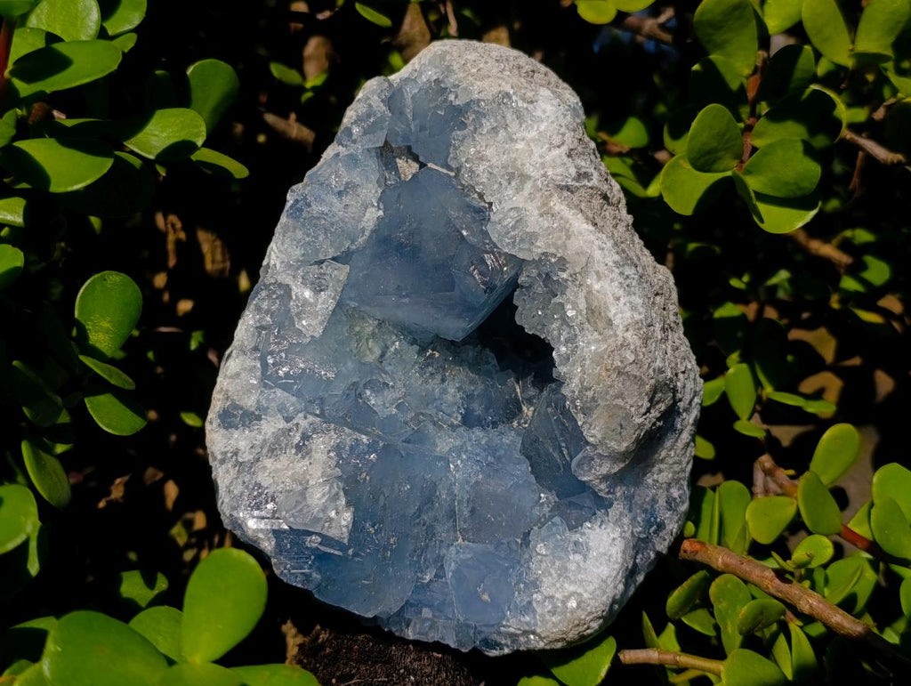 Natural Large Blue Celestite Geode Specimen x 1 From Sakoany, Madagascar - Toprock Gemstones and Minerals 
