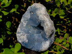 Natural Large Blue Celestite Geode Specimen x 1 From Sakoany, Madagascar - Toprock Gemstones and Minerals 