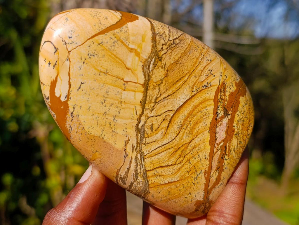 Polished Picture Stone Jasper Standing Display Pieces x 3 From Ais-Ais, Namibia - Toprock Gemstones and Minerals 