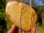 Polished Picture Stone Jasper Standing Display Pieces x 3 From Ais-Ais, Namibia - Toprock Gemstones and Minerals 