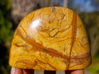 Polished Picture Stone Jasper Standing Display Pieces x 3 From Ais-Ais, Namibia - Toprock Gemstones and Minerals 