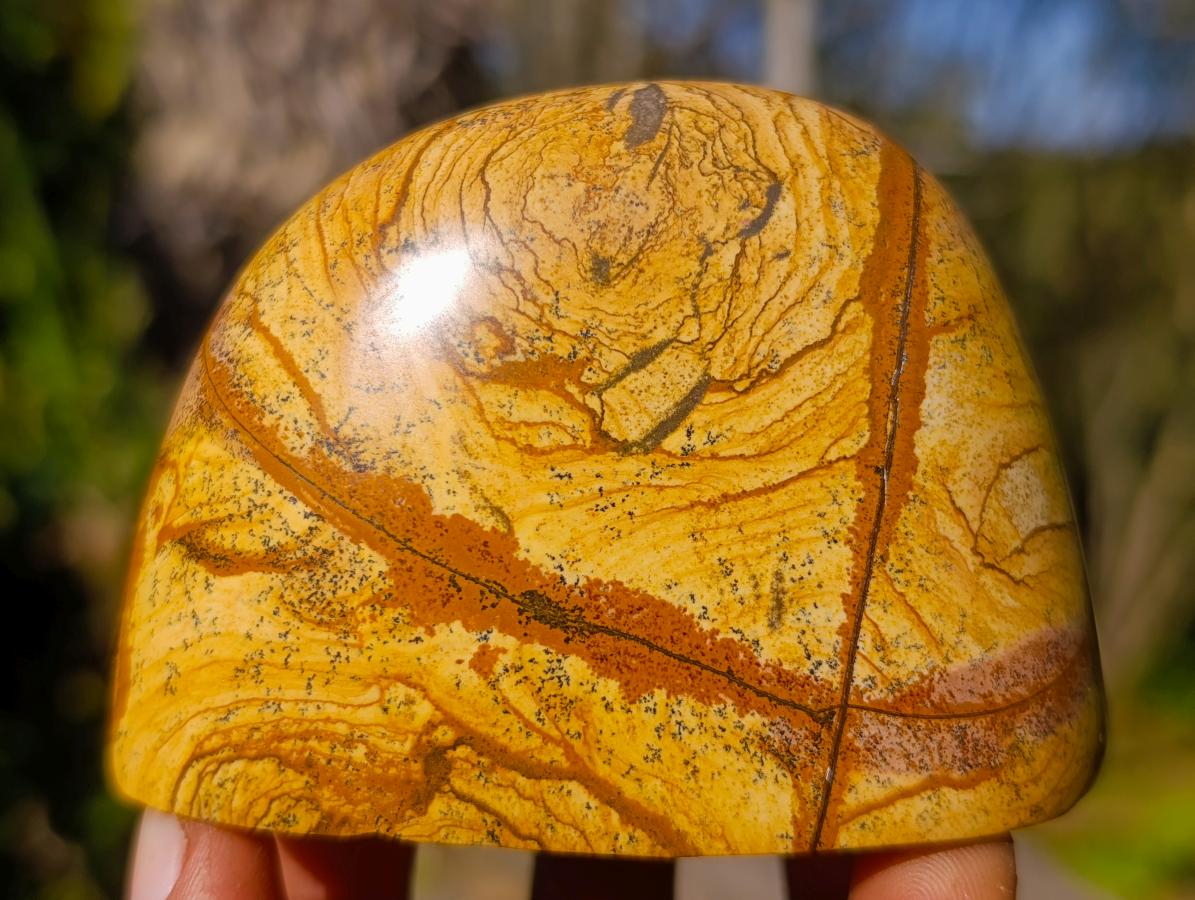 Polished Picture Stone Jasper Standing Display Pieces x 3 From Ais-Ais, Namibia - Toprock Gemstones and Minerals 