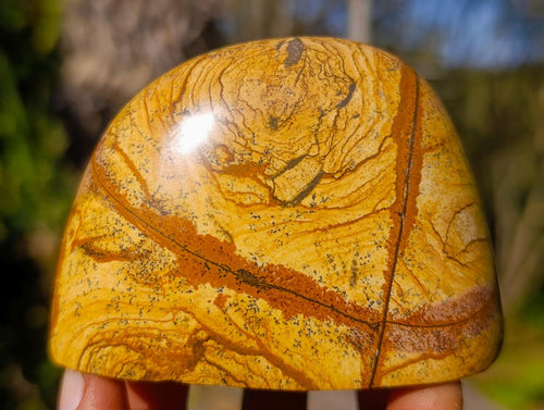 Polished Picture Stone Jasper Standing Display Pieces x 3 From Ais-Ais, Namibia - Toprock Gemstones and Minerals 
