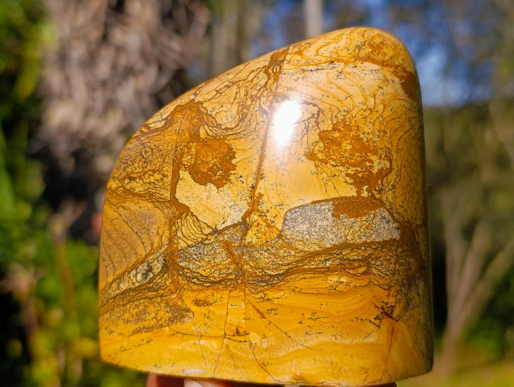 Polished Picture Stone Jasper Standing Display Pieces x 3 From Ais-Ais, Namibia - Toprock Gemstones and Minerals 
