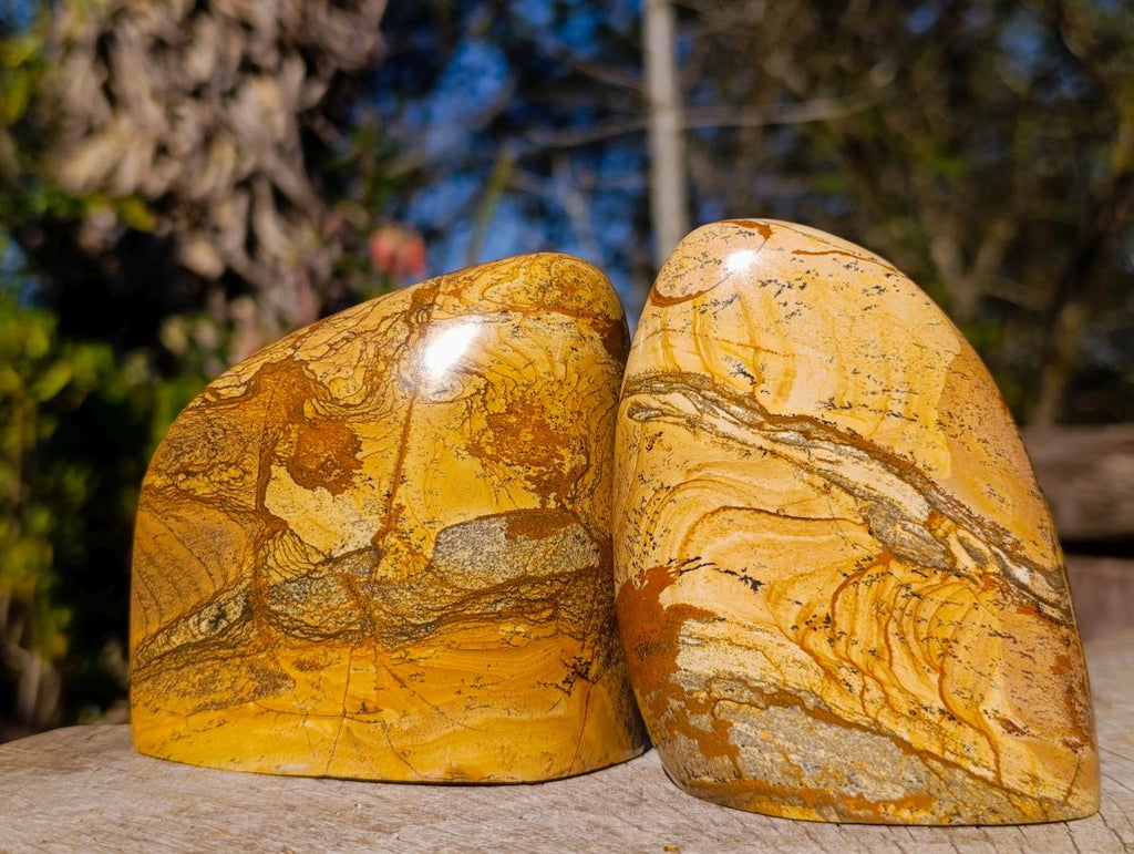 Polished Picture Stone Jasper Standing Display Pieces x 3 From Ais-Ais, Namibia - Toprock Gemstones and Minerals 