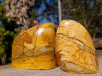 Polished Picture Stone Jasper Standing Display Pieces x 3 From Ais-Ais, Namibia - Toprock Gemstones and Minerals 