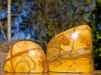 Polished Picture Stone Jasper Standing Display Pieces x 3 From Ais-Ais, Namibia - Toprock Gemstones and Minerals 