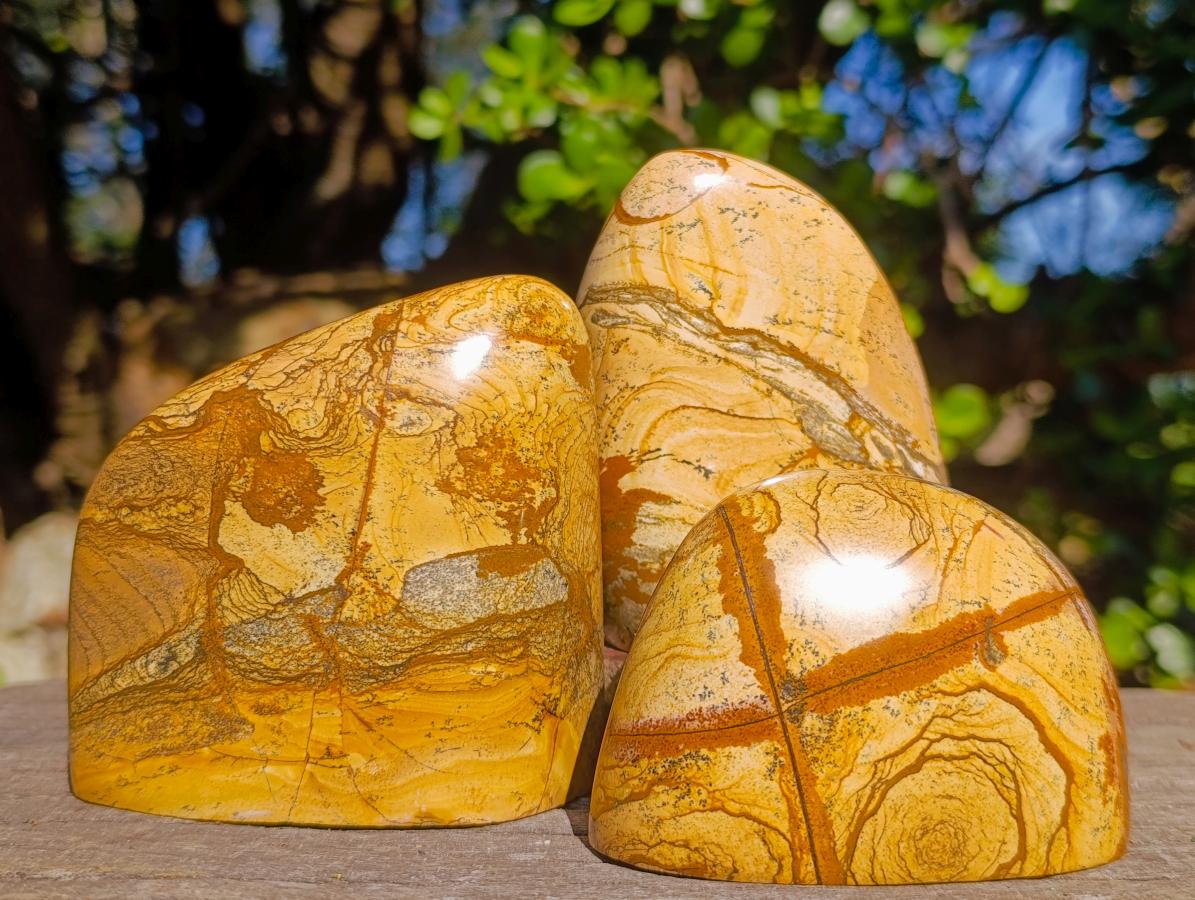 Polished Picture Stone Jasper Standing Display Pieces x 3 From Ais-Ais, Namibia - Toprock Gemstones and Minerals 
