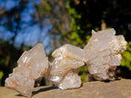 Natural Rhombohedral Calcite Specimens x 12 From Albert's Mountain, Lesotho - Toprock Gemstones and Minerals 