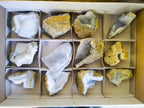 Natural Blue Lace Agate Geode Specimens x 12 From Nsanje, Malawi - Toprock Gemstones and Minerals 