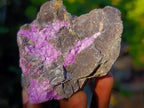 Natural Cobbed Stichtite Specimens x 12 From Barberton, South Africa - Toprock Gemstones and Minerals 