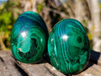 Polished Flower Banded Malachite Gemstone Eggs x 6 From Congo - Toprock Gemstones and Minerals 