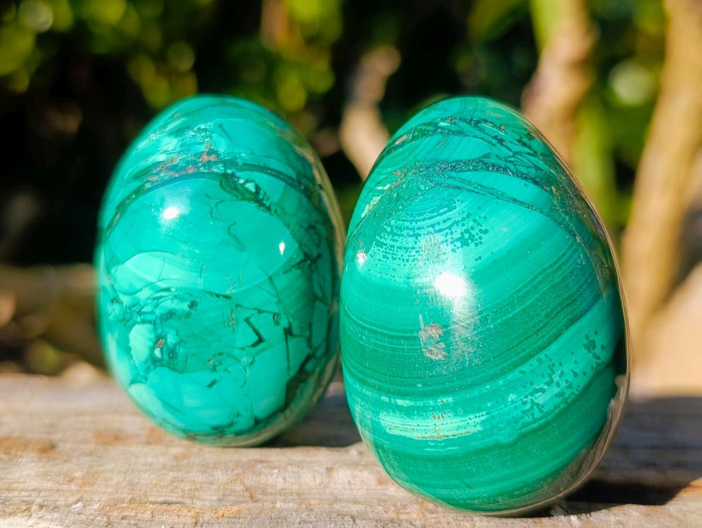 Polished Flower Banded Malachite Gemstone Eggs x 6 From Congo - Toprock Gemstones and Minerals 